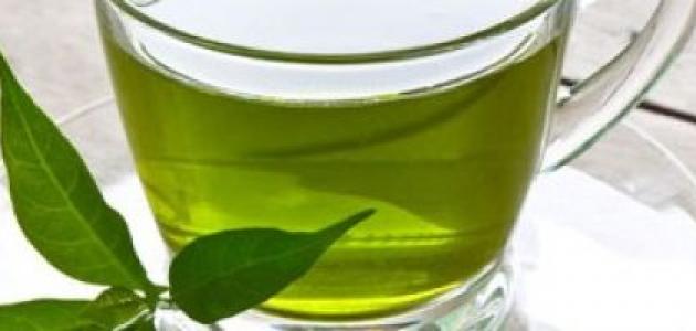 صورة جديد فوائد زيت الشاي الأخضر للشعر