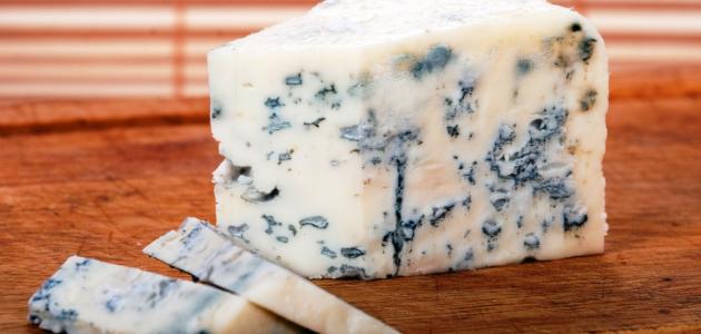 صورة جديد فوائد الجبنة الزرقاء