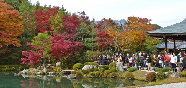 صورة جديد حديقة أشاكيكا في اليابان