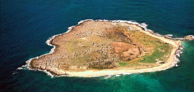 صورة جديد محمية جزر النخيل