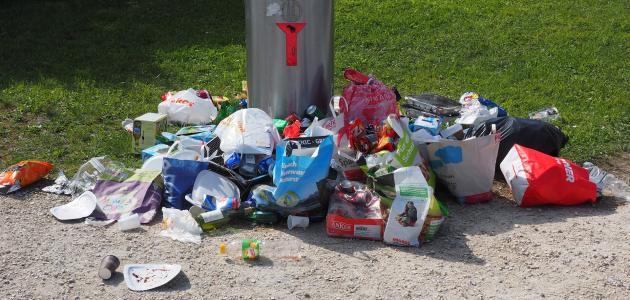 صورة جديد أثر النفايات على البيئة