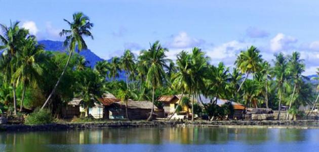 صورة جديد جزيرة سومطرة