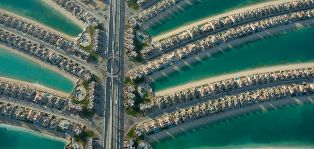 صورة جديد مشروع جزيرة النخلة في دبي