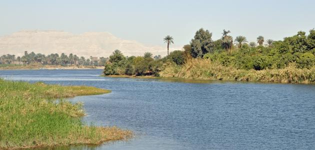 صورة جديد معلومات عن جزر نهر النيل