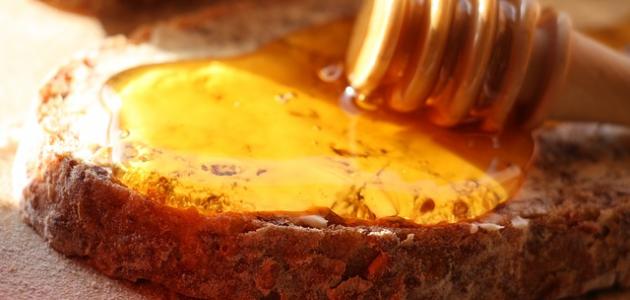 صورة جديد طريقة عمل فطائر اللبنة بالعسل