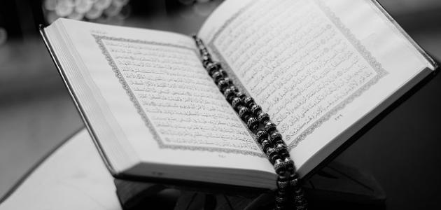 صورة جديد صفات المنافقين في القرآن والسنة