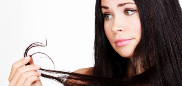صورة جديد كيفية علاج أطراف الشعر المتقصفة