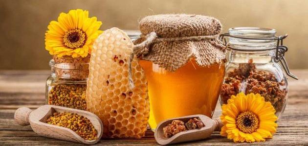 صورة جديد فوائد غذاء الملكات وحبوب اللقاح مع العسل