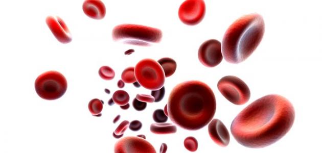 صورة جديد حقائق عن فصيلة الدم A