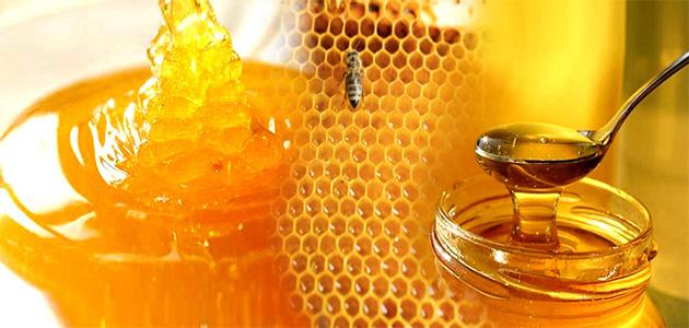 صورة جديد كيف نعرف العسل الأصلي
