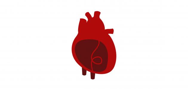 صورة جديد اسم غشاء القلب