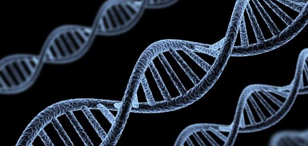 صورة جديد الصفات الوراثية وغير الوراثية