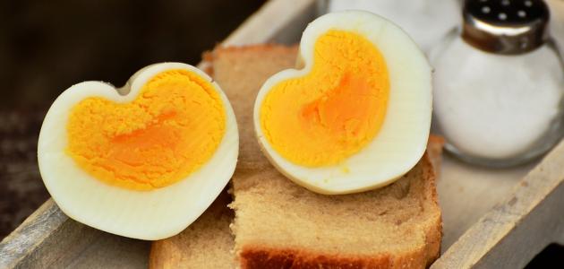 صورة جديد كم عدد السعرات الحرارية في البيض