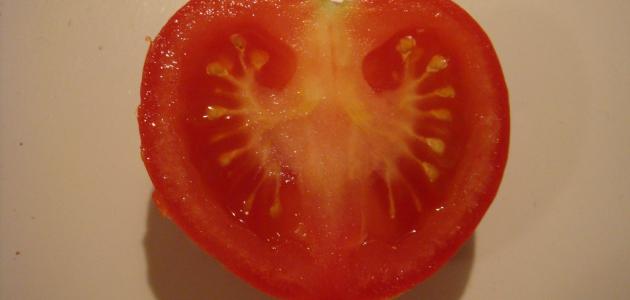 صورة جديد كيف تزرع بذور الطماطم