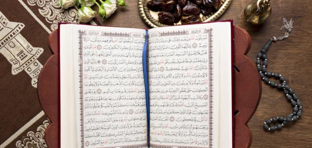 صورة جديد عدد سور القرآن الكريم
