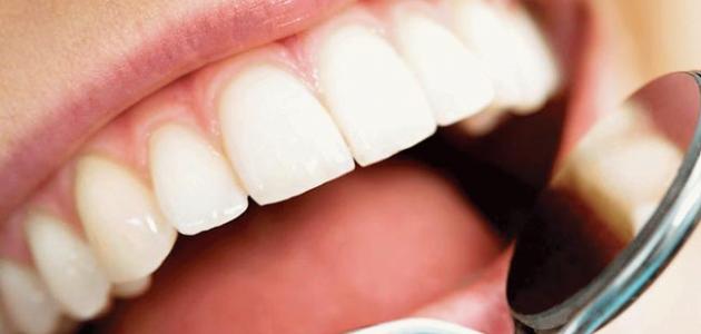 60481685a5239 جديد أهمية الأسنان وطرق المحافظة عليها