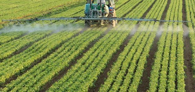 صورة جديد أهمية الزراعة في الوطن العربي