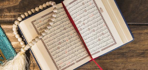 صورة جديد أطول كلمة في القرآن الكريم