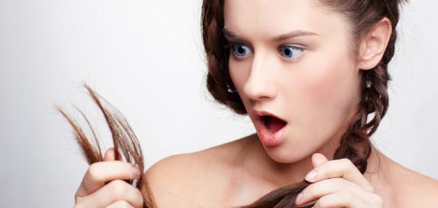 صورة جديد كيفية علاج الشعر التالف