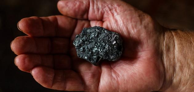 صورة جديد كيف يتكون الفحم الحجري