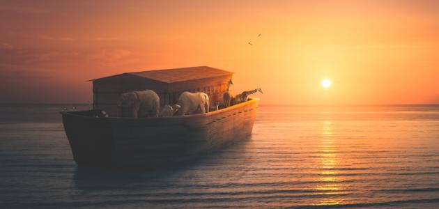 صورة جديد سفينة نوح عليه السلام