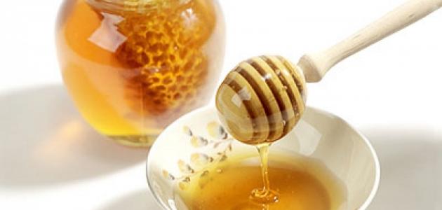 صورة جديد كيف يصنع العسل