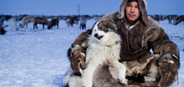 صورة جديد كيف يعيش الناس في القطب الشمالي
