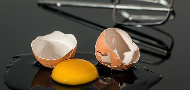 صورة جديد كم يحتوي البيض على بروتين