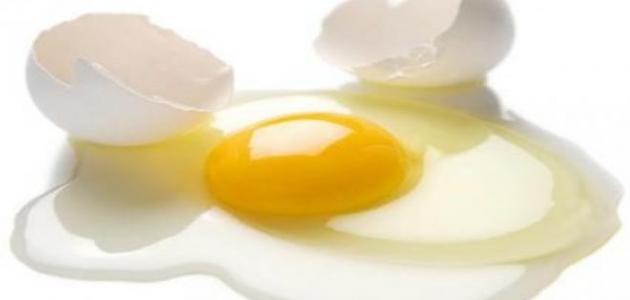 صورة جديد فوائد بياض البيض للشعر