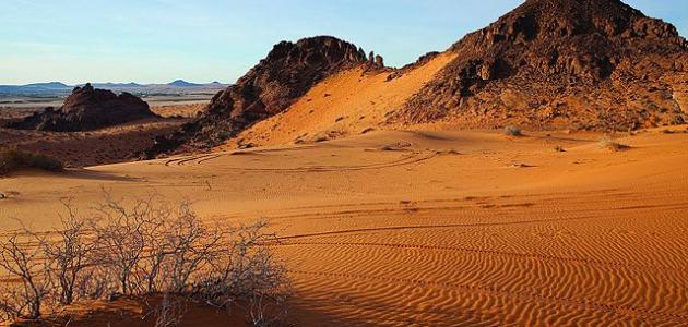 صورة جديد أكبر صحراء في الوطن العربي