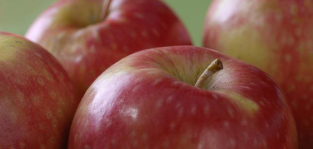 صورة جديد فوائد أكل التفاح للبشرة