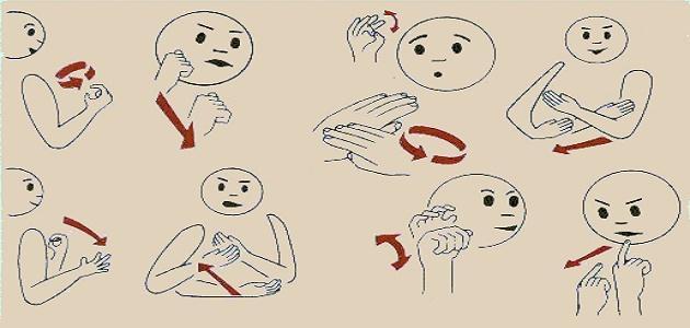 صورة جديد تعريف لغة الإشارة