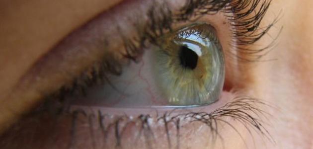 6050ce9d12151 جديد كيف نحافظ على سلامة العين