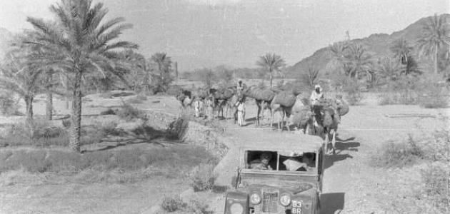 صورة جديد معلومات عن تاريخ عمان