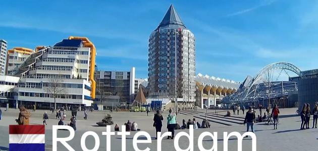 صورة جديد مدينة روتردام