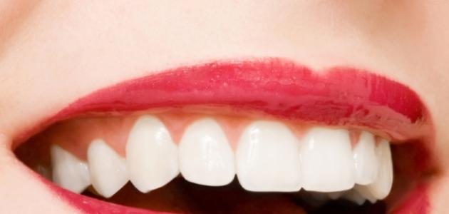 605143abba28a جديد كيف تحافظ على أسنانك