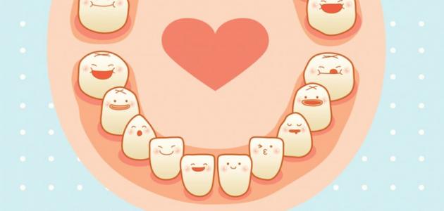 صورة جديد ترتيب ظهور الأسنان عند الأطفال