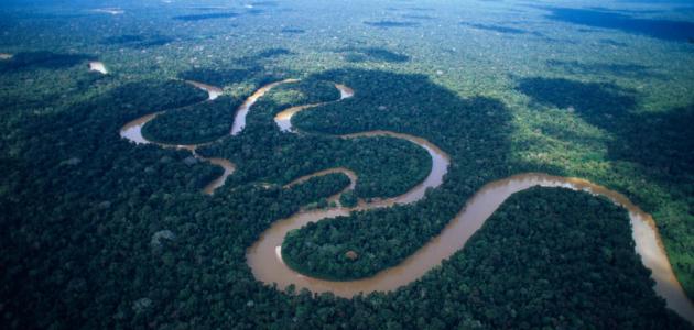صورة جديد من أين ينبع نهر الأمازون