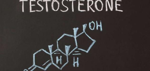 صورة جديد كيف أحصل على هرمون التستوستيرون