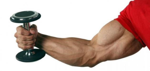صورة جديد كيف أقوي عضلات اليد