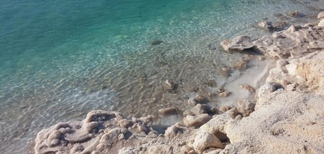 صورة جديد فوائد ماء البحر الميت