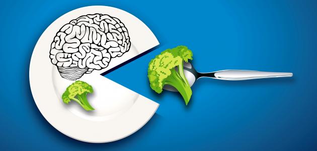 صورة جديد ما هو الغذاء الرئيسي للدماغ