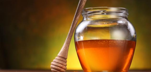 صورة جديد فوائد زيت الزيتون والعسل للشعر