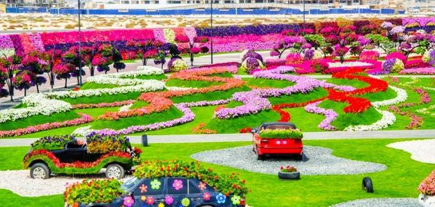 صورة جديد حديقة الورد في دبي