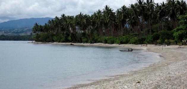 صورة جديد ما هي جزر سليمان