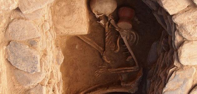 صورة جديد كيف يتحلل جسم الإنسان بعد الموت