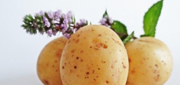 صورة جديد فوائد البطاطس والحليب للبشرة