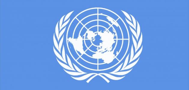 صورة جديد ما هي هيئة الأمم المتحدة
