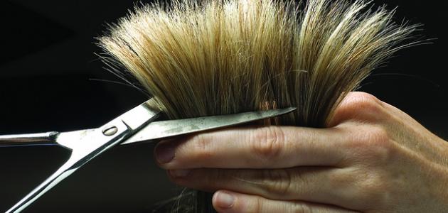 صورة جديد طرق علاج تساقط الشعر وتقصفه