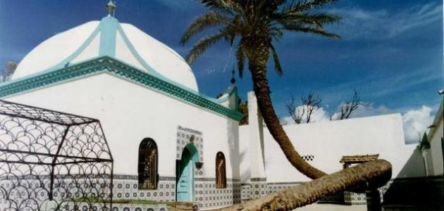 صورة جديد معوقات السياحة في الجزائر